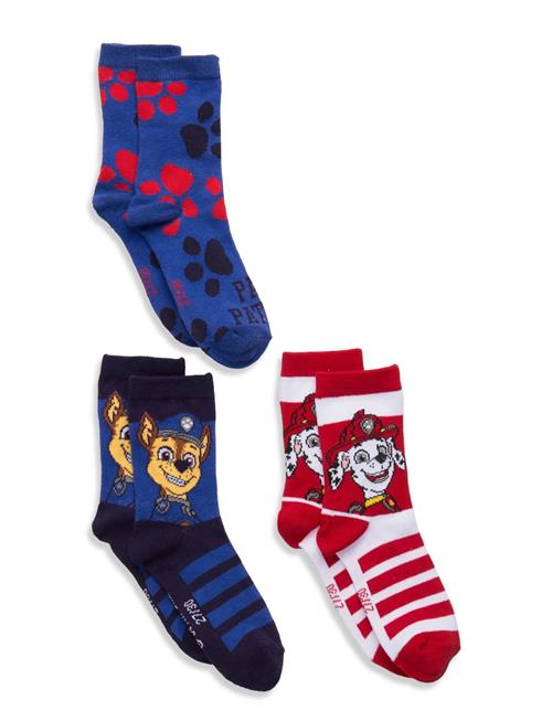 Paw Patrol | Socks | 23/26