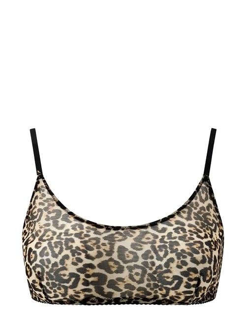 Understatement Underwear | Mesh Scoop Bralette | M