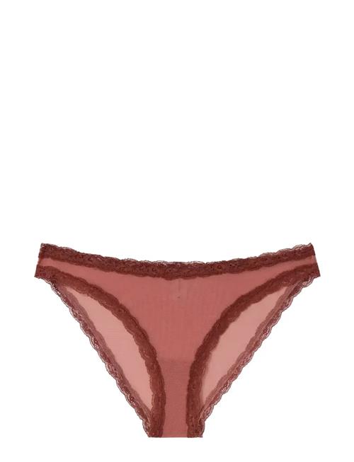 Understatement Underwear | Mesh Lace Trim Bikini Briefs | S