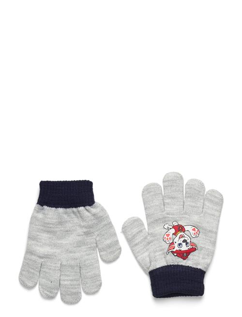 Paw Patrol | Gloves | ONE SIZE