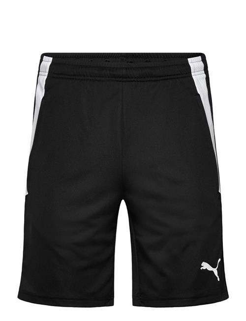 PUMA | Teamliga Training Shorts | XL