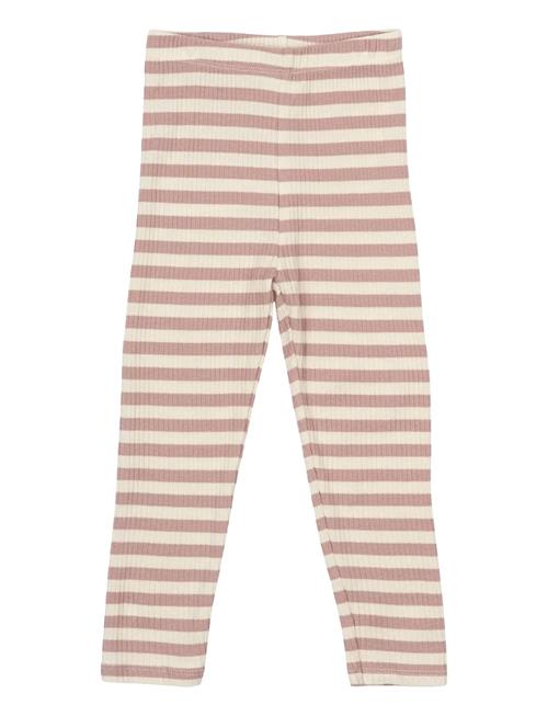 The New | Tnsbfro Uni Rib Leggings | 68