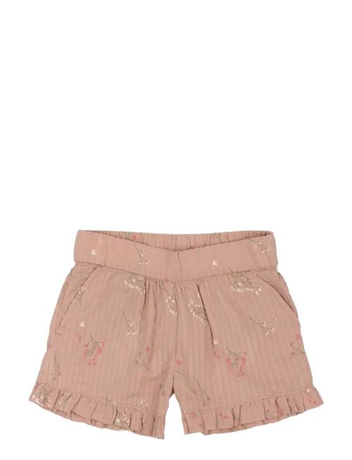 The New | Tnstoline Shorts | 104