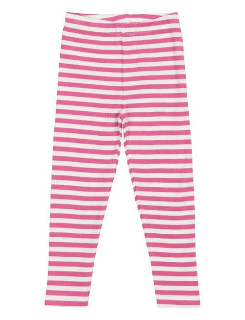 The New | Tnstfro Rib Leggings | 86