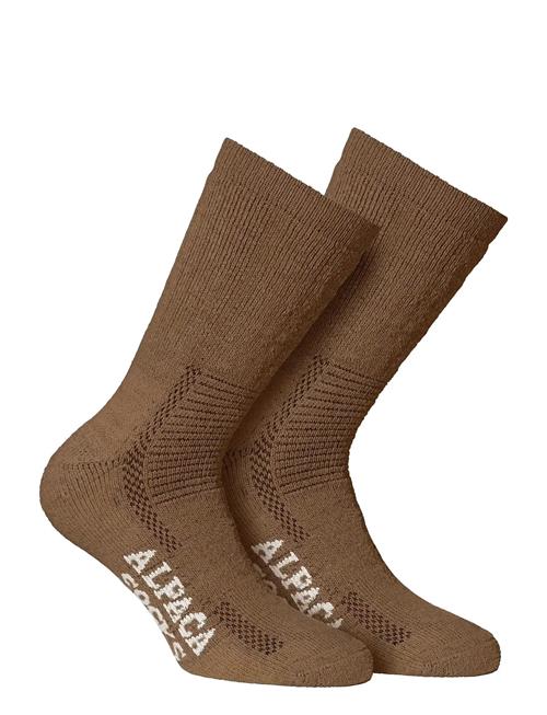 Alpacasocks&Co | Alpacasocks 2-Pack | 37-39
