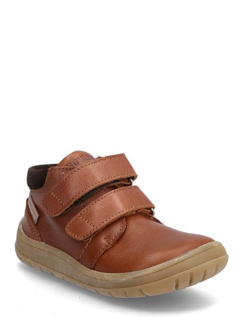 ANGULUS | Shoes - Flat - With Velcro | 25