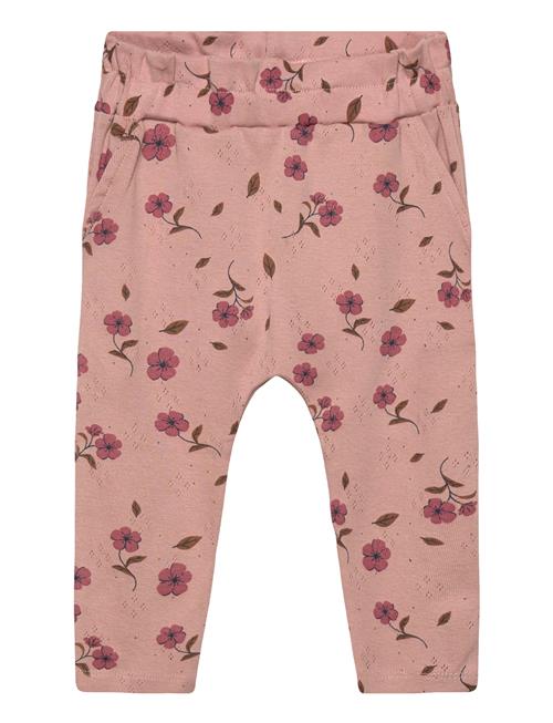 The New | Tnsbpicole Pointelle Pants | 68