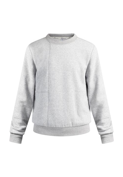 DreiMaster Vintage Sweatshirt  lysegrå