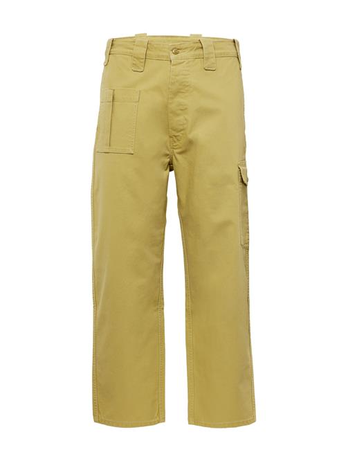 Levi's Skateboarding Cargobukser 'Skate New Utility Pant'  grøn