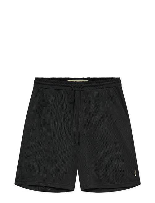 Woodbird | Wbben Mesh Shorts | XXL