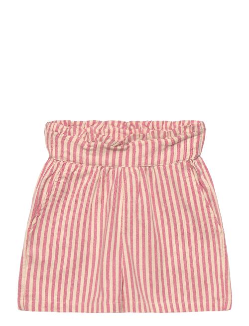 The New | Tnpaige Shorts | 134/140