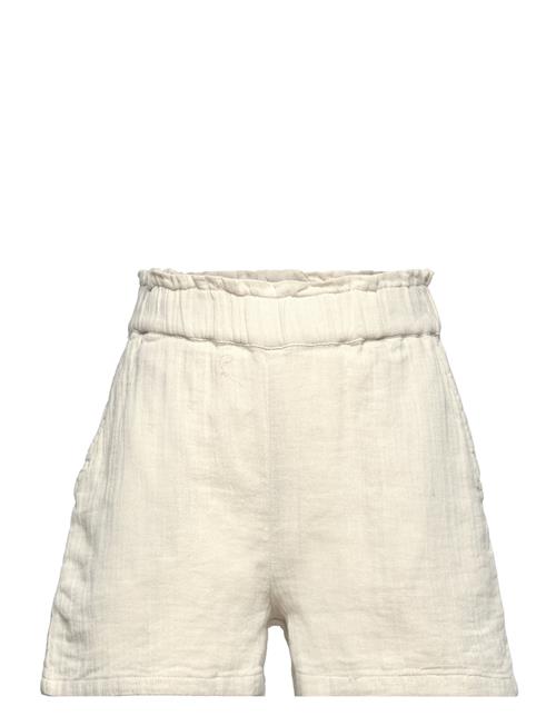 The New | Tnfaisa Shorts | 134-140