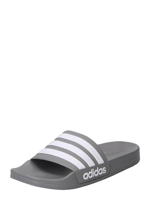 ADIDAS SPORTSWEAR Pantoletter 'Adilette'  mørkegrå / hvid