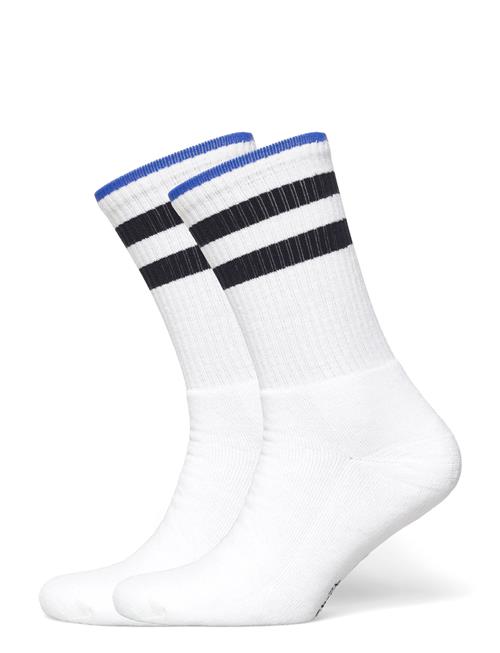 Alpacasocks&Co | Merino Casual Stripes 2-Pack | 39-42