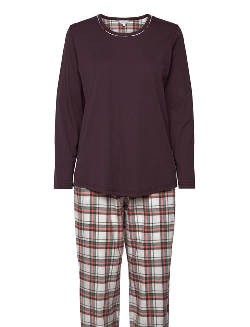 Lady Avenue | Cotton Flannel Pyjamas | M