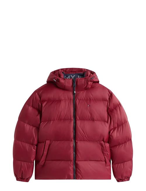 Tommy Jeans | Tjm Essential Down Jacket Ext | M