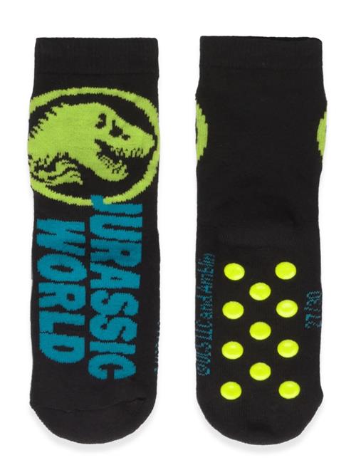 Sun City Jurassic Park | Socks | 27/30