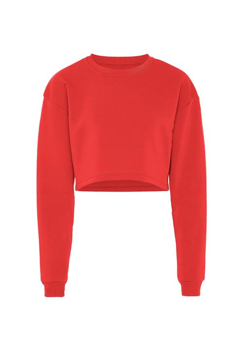 hoona Sweatshirt  rød
