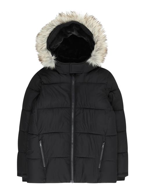 Abercrombie & Fitch Vinterjakke  beige / sort