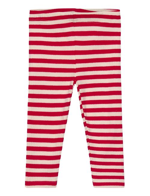 The New | Tnsbfro Rib Leggings | 86