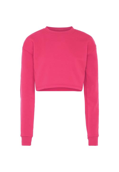 NALLY Sweatshirt  pink
