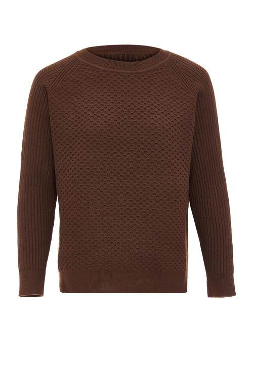 Se carato Pullover  brun ved About You