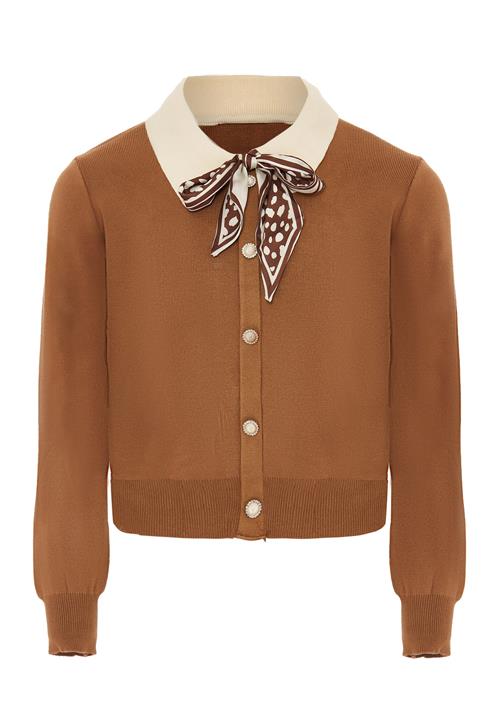 NAEMI Cardigan  beige / brun