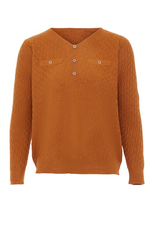 caneva Pullover  cognac