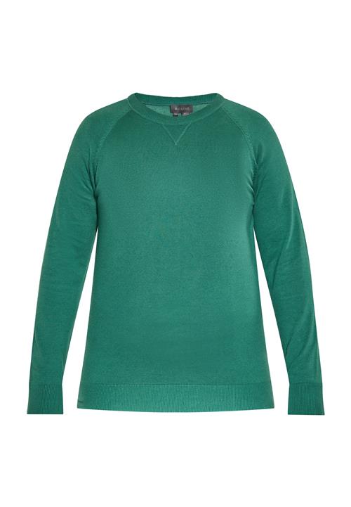 boline Pullover  grøn