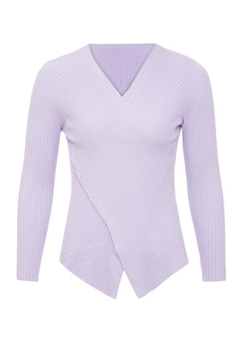 EUCALY Pullover  lavendel