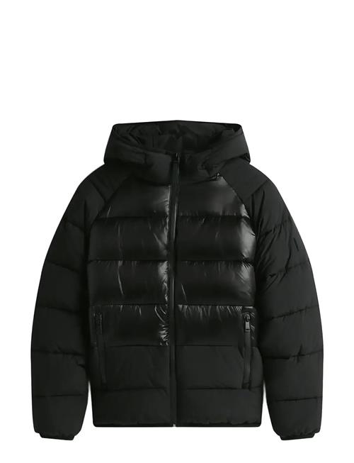 Tommy Jeans | Tjm Hooded Gloss Matt Puffer Ext | XS