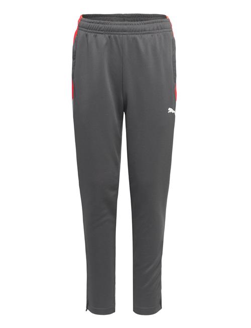 PUMA | Individualliga Training Pants Jr | 152