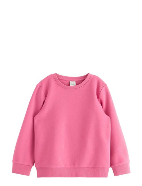 Lindex | Sweatshirts Solid Basic | 104