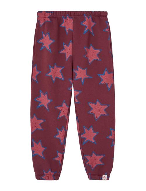 THE ANIMALS OBSERVATORY | Stars Dromedary Sweatpants | 4 Y