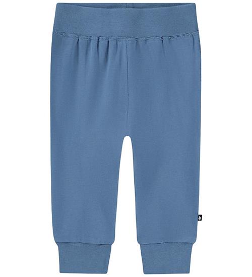 Molo Bukser - Sammy - Shallow Sea