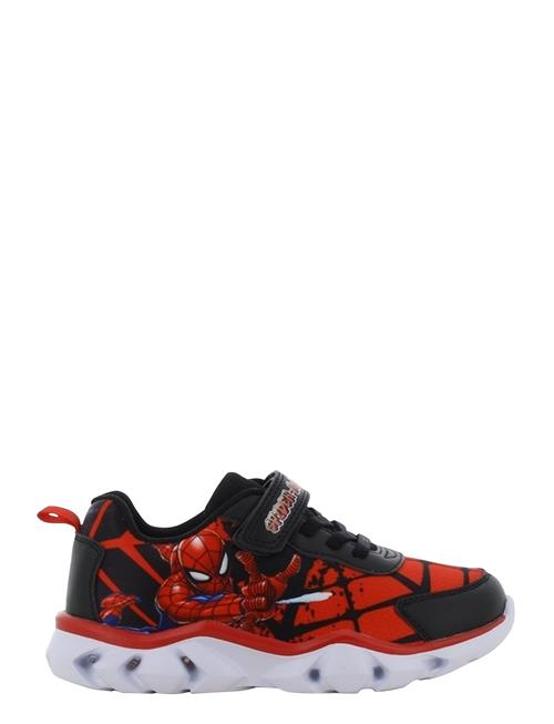 Leomil | Spiderman Sneakers | 25