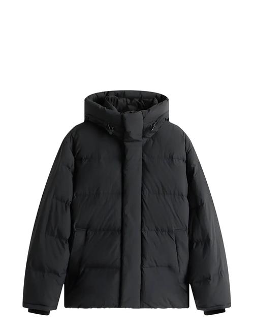 Tommy Jeans | Tjm Hooded Down Puffer | XS