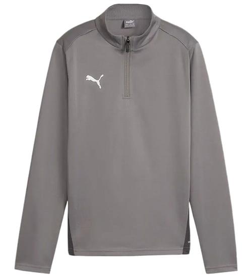 Puma Bluse - TeamGOAL Training 1/4 Zip - Cast Iron