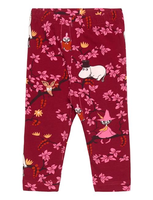 Martinex | Klätterträd Leggings | 68