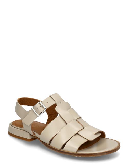 ANGULUS | Sandals - Flat  - Open Toe - Op | 40.5