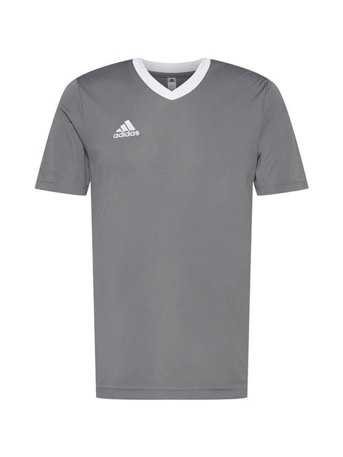 ADIDAS PERFORMANCE Funktionsskjorte 'Entrada 22'  lysegrå / hvid