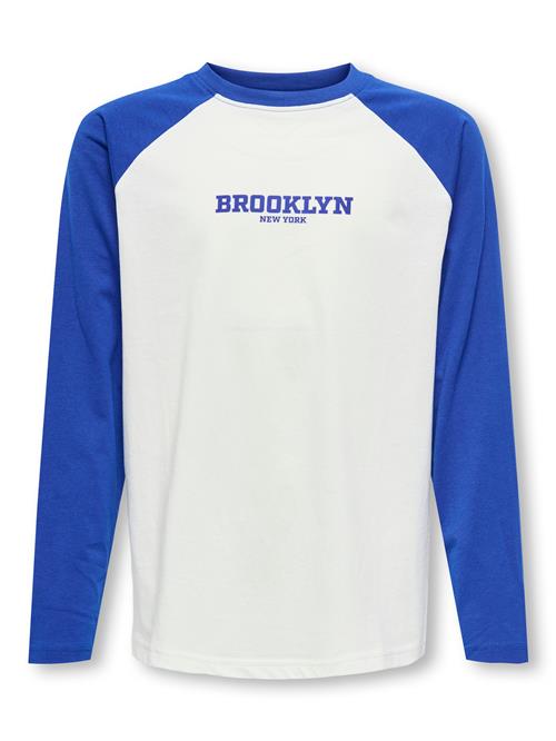 ONLY & SONS Sports Tee Cloud Dancer Surf The Web Lassi Brooklyn