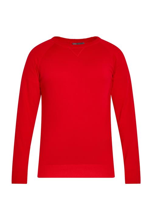 boline Pullover  rød