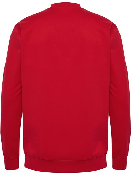 Hummel Sportsweatshirt 'Go 2.0'  blodrød