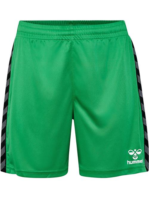 Hummel Sportsbukser 'Authentic'  grøn / sort / hvid