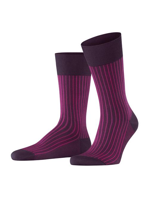 FALKE Sokker  aubergine / pink