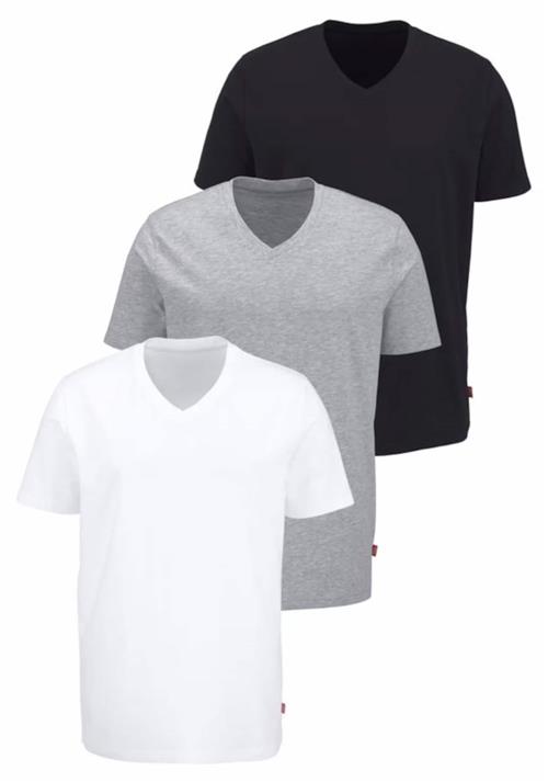 Bruno Banani Bluser & t-shirts  grå / sort / hvid