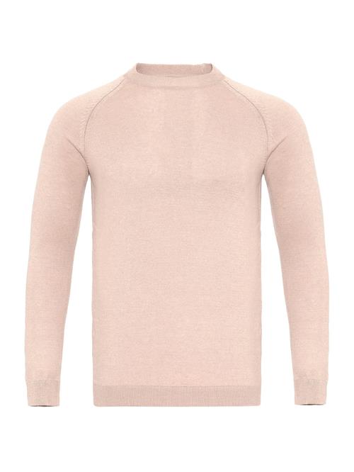 Antioch Pullover  beige
