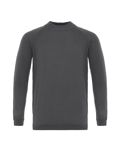 Antioch Pullover  grå