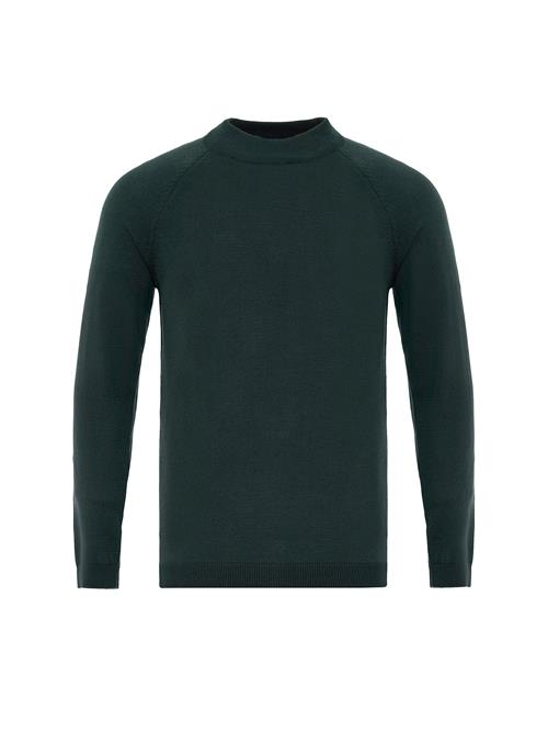 Antioch Pullover  grøn